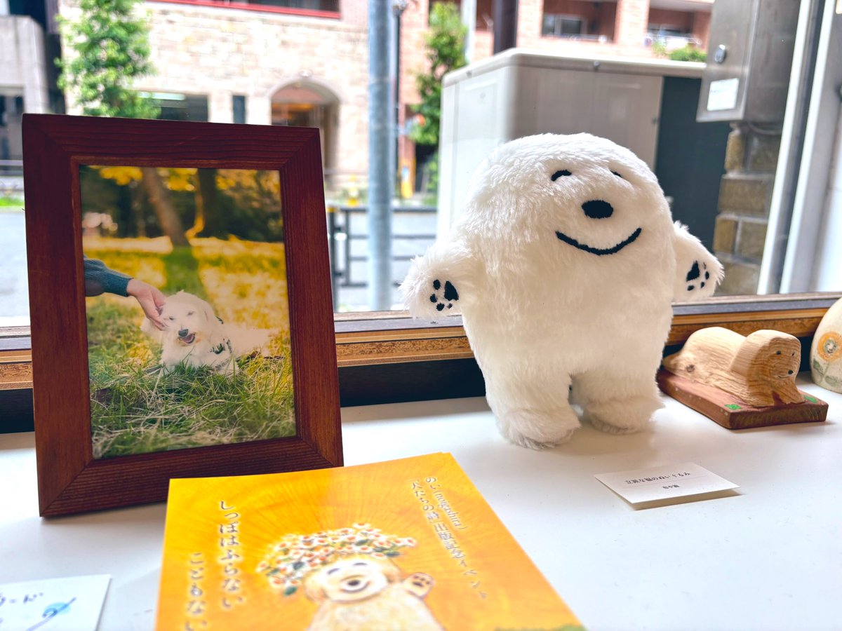 midori_mp's tweet image. のいさん(@kirafuku0716)の展示を観に行ってきました！犬の詩の原画観れて嬉しい！ねんがんの顔出しパネルもできた🐕☺️🐩