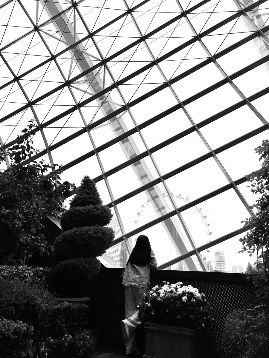 Gardens by the bay, Singapore. ❤️