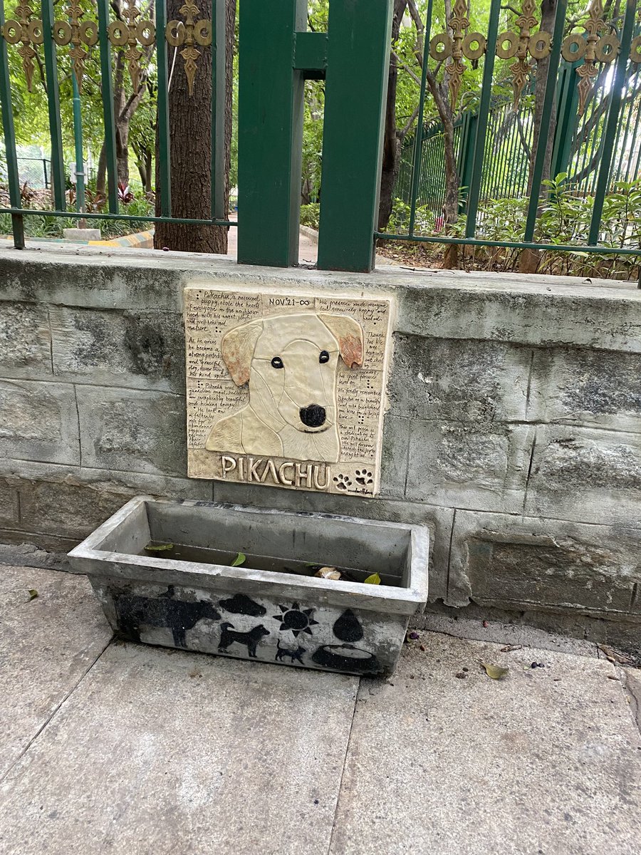 Good Bye Pikachu !

If every city in India 
If every town in India
If every village in India
If every political party in India
If every municipal corporation 

Starts respecting, accepting other species in India — then ...
Rabies and dog bites will end! 

But animal haters in