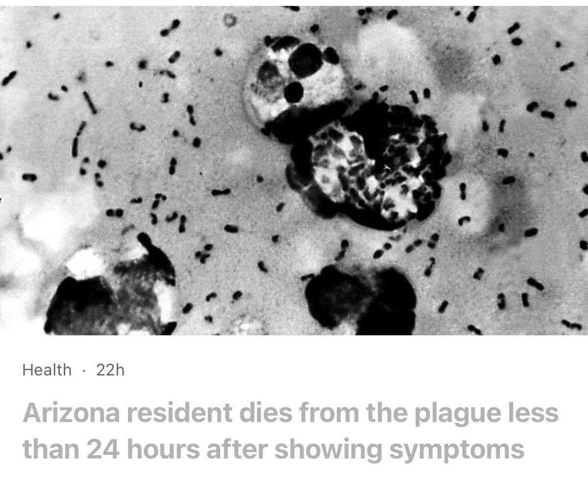 KelliKayK's tweet image. How did the plague get in our country?
I’ll give you one guess