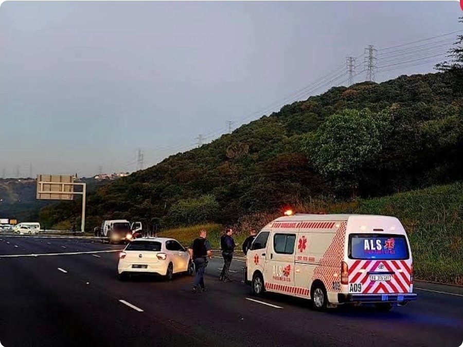 Five dumbass robbers are in the hospital under police guard after mistaking a truck full of live snakes for a cash van and trying to jack it.

The fiasco went down on the R61 outside Ngcobo in the Eastern Cape when the crew ambushed the driver with guns and machetes, ripping open