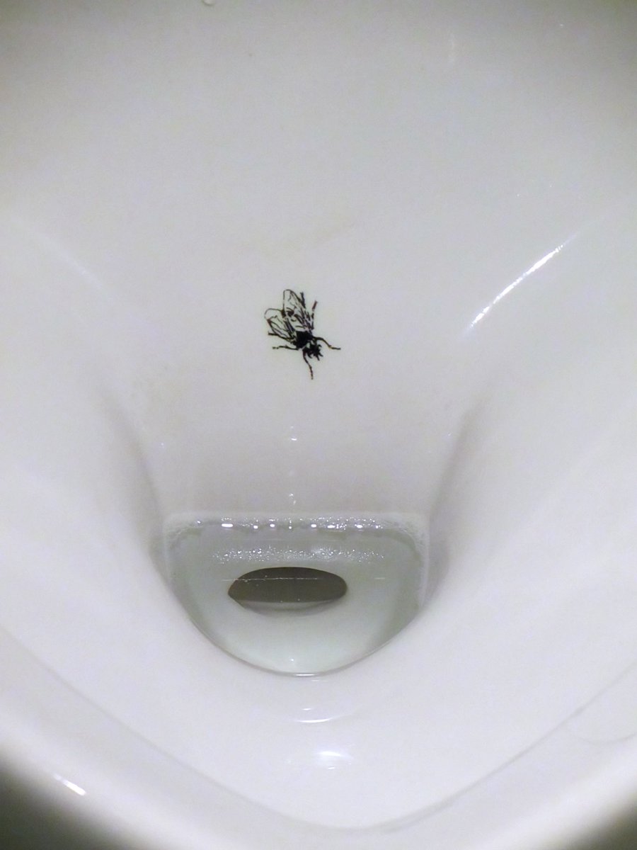 Heute wieder 8 Stunden Nachtschicht als Fliege im Pissoir gar kein Bock