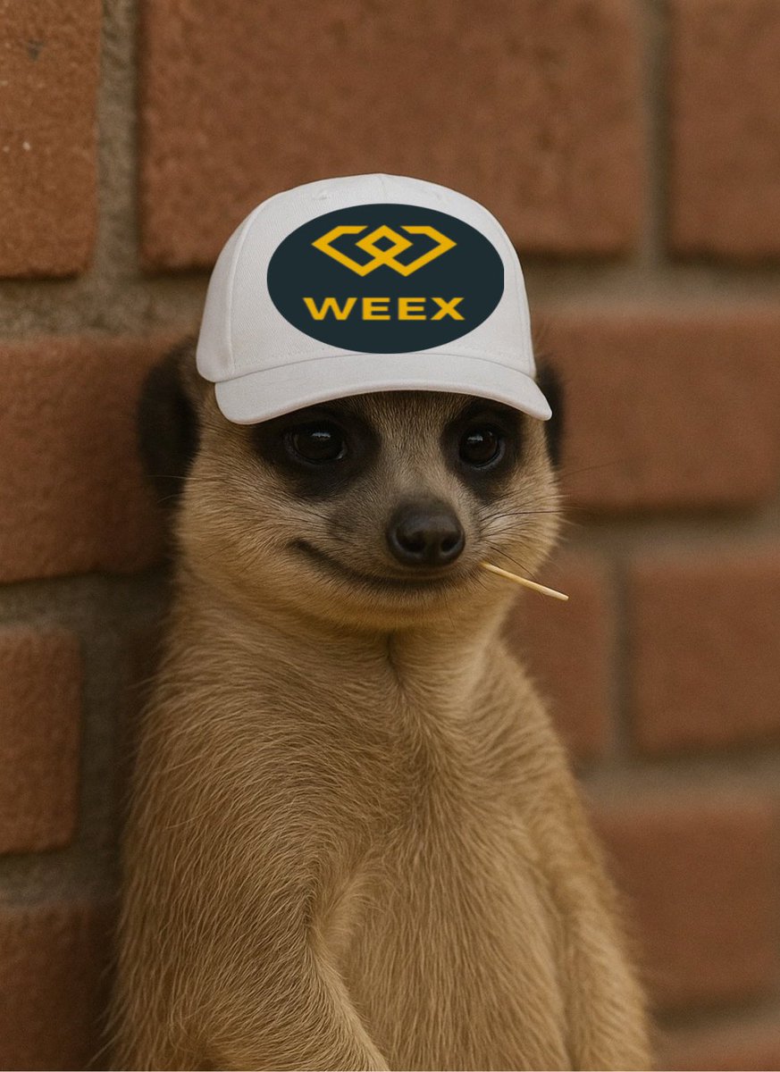 IamMasterFx's tweet image. 💬 Have you used the $WEEX Bubble Chart today?

If not, you’re trading blind. 👀

Track momentum, volume, and market movers in real time.

#WEEX #BubbleChart #CryptoAlpha #ceasefire #IndianArmy #amici24 #母の日 #Pakistan #PerthSanta