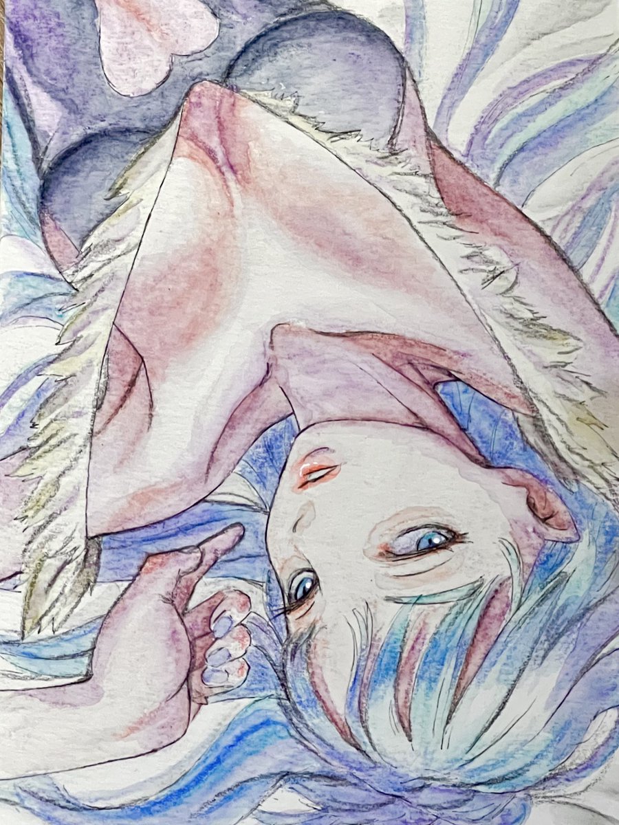 sukerock2022's tweet image. ヴァンパイア31周年との事で！
度々使い回し絵ですが…