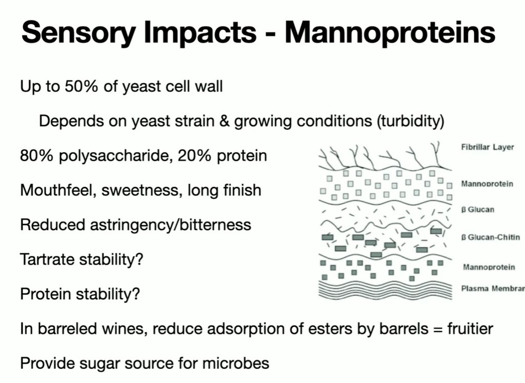 Last sensory session this year: "Enhancing the Profile of White Wines: Approaches to Creating Structured, Layered, and Age-Worthy Varietals."

Included was a discussion of the sensory impacts of mannoproteins.

The recording is now available at youtu.be/UDDiquHKp3w
