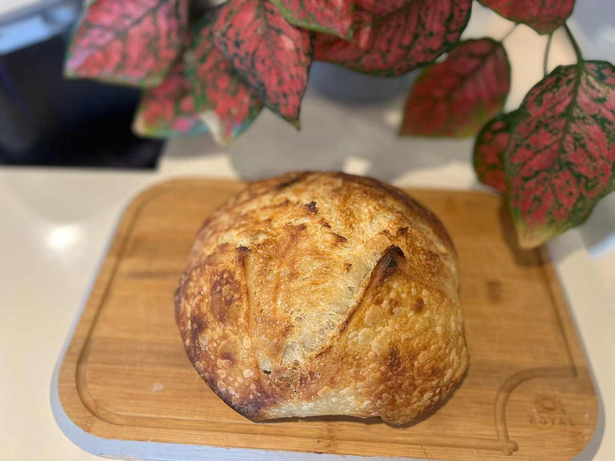 LeoPanamaNow's tweet image. That crumb 👀🔥
White bread made with 12.7% protein flour.
Super airy, fluffy, and soft inside.
No additives — just flour, water, salt, and yeast.
#BreadTok #HomemadeBread #FluffyBread #AiryCrumb