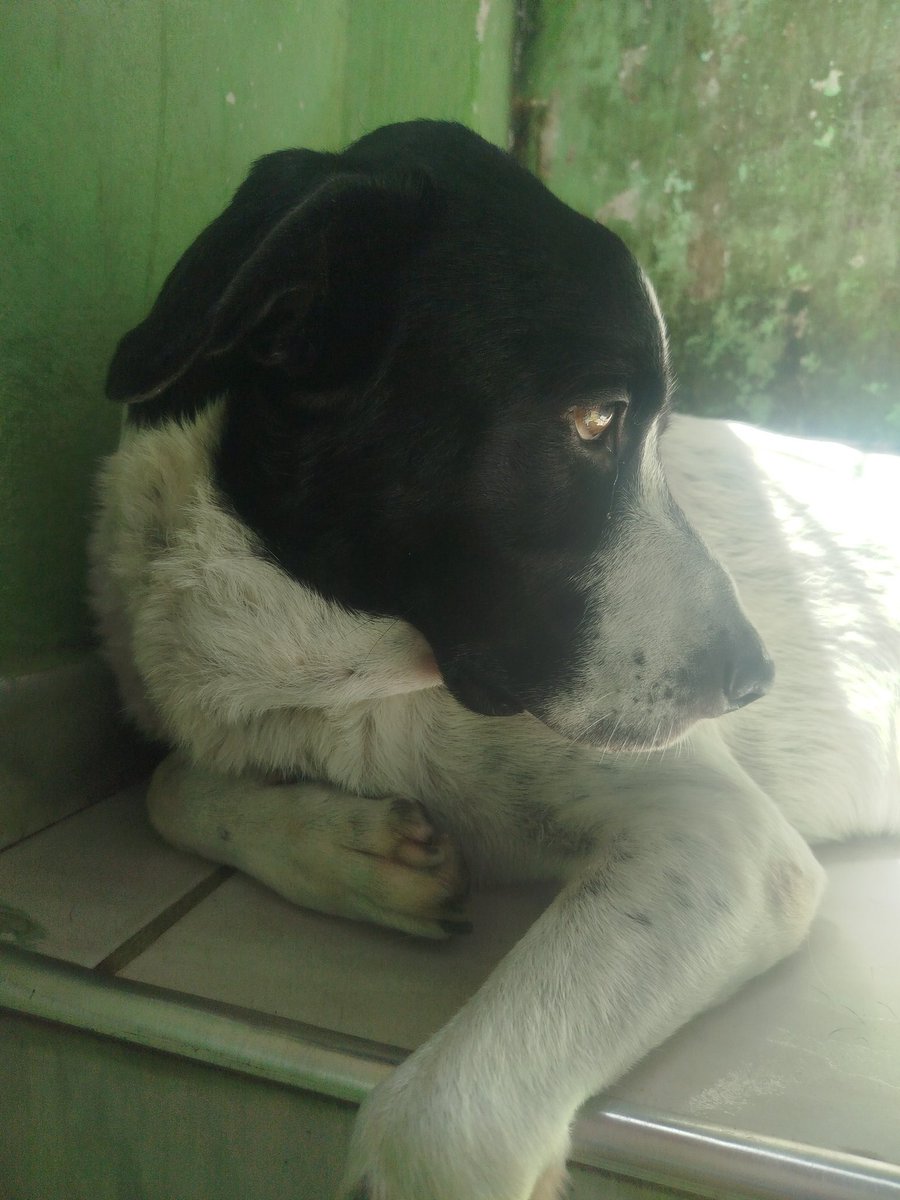 jooacomun's tweet image. POV seus olhos de mel são a coisa mais linda do mundo