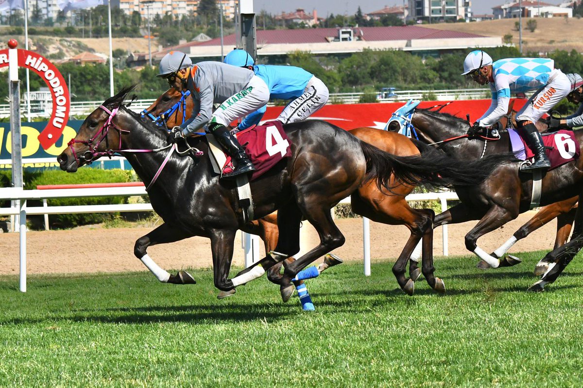 Bosetti ile kazanıyoruz 🔥🔥🔥🧿🧿🧿
<a href="/TevfikBardakc3/">Tevfik Bardakcı</a>