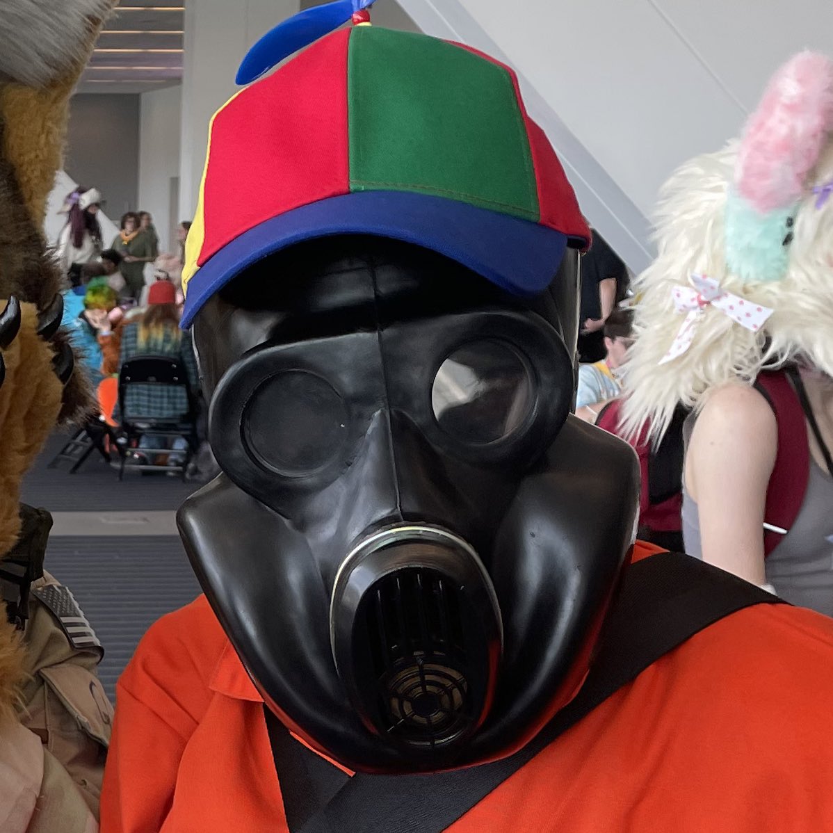 Fursuit head: Very low visibility, super high temperature, but sits comfortably on head.
PBF gas mask: Good visibility, intermediate temperature, but crushes jaw and takes rigorous practice to put on correctly.
Fursuit heads also look very cute!
