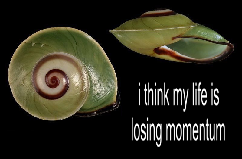 brand new city by mitski.