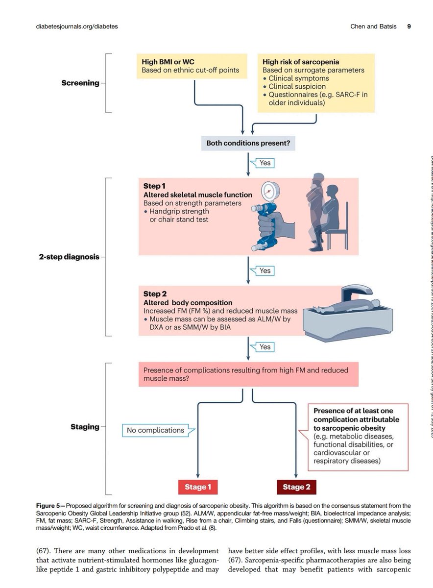 giorg_kyriakos's tweet image. 📌 #Sarcopenic #obesity: a complex phenotype gaining attention in #T2D &amp;amp; #ageing

💉 #Incretin therapies (#GLP1, GLP1/GIP) reduce fat mass—but what about lean mass?

🧠 Clinical challenge: balance efficacy, muscle preservation &amp;amp; function

🔗 doi.org/10.2337/dbi25-…