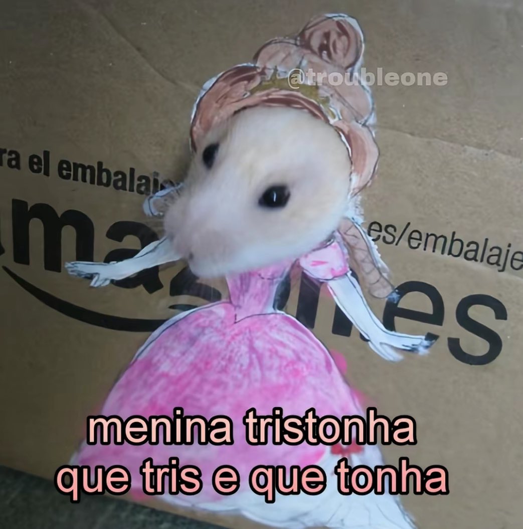 medisagarxia's tweet image. última semana em casa.