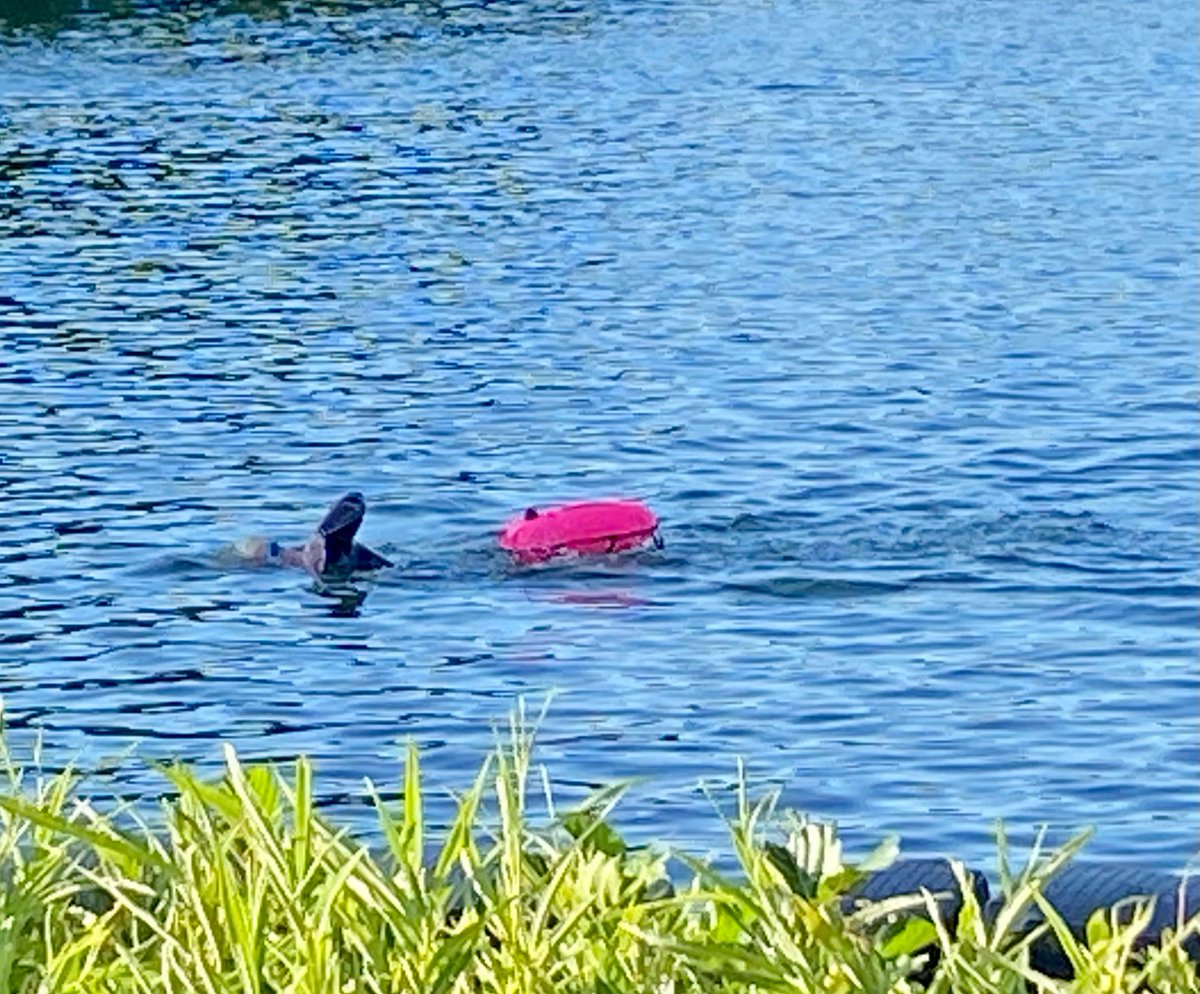 SynergieCoaching tweet media