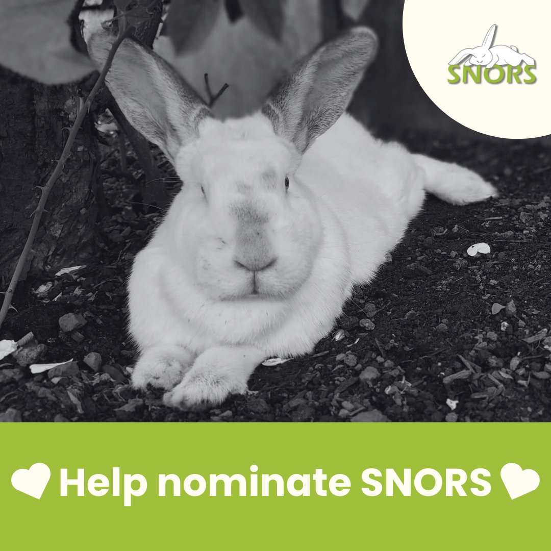 SNORS (@snorssanctuary) on Twitter photo 🐰💚Help nominate SNORS for the <a href="/benefactgroup/">Benefact Group</a> #movementforgood campaign!💚🐰
This time the Benefact Group is kindly giving away £2000 in their next special draw to a few select charities, which could include SNORS! 🐰💚Help nominate SNORS for the <a href="/benefactgroup/">Benefact Group</a> #movementforgood campaign!💚🐰
This time the Benefact Group is kindly giving away £2000 in their next special draw to a few select charities, which could include SNORS!