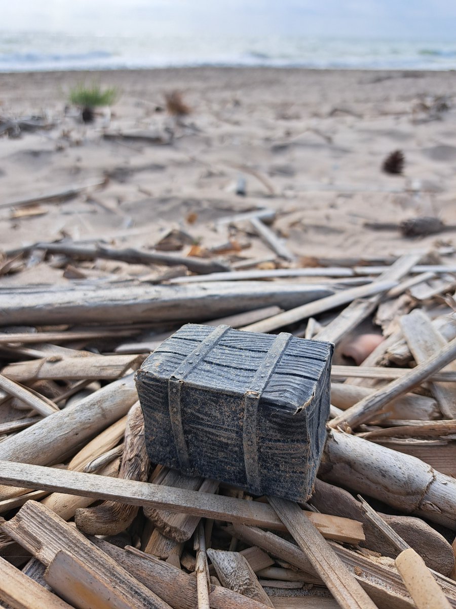 Los restos mareales atesoran mucha vida en las playas. Pero también otros tesoros que no te esperas encontrar.