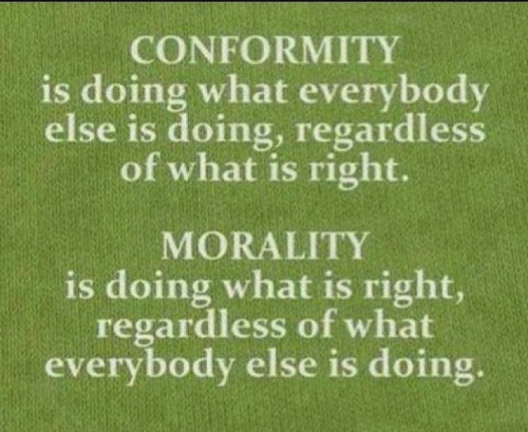ShrimpieShrimps's tweet image. Serious decisions need to be made all over Ireland 🇮🇪 never conform, use your critical thinking and previous experience to march forward and be the best for Ireland💚🤍🧡
#IrelandbelongstotheIrish
#Irish
#Ireland