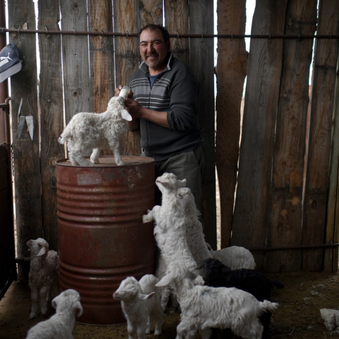 Small-scale farmers, rural women, young agripreneurs: all rural people make rural areas places of change, innovation and opportunities!

When we invest in them, we invest in development and growth.

🔃 RT  if you agree!