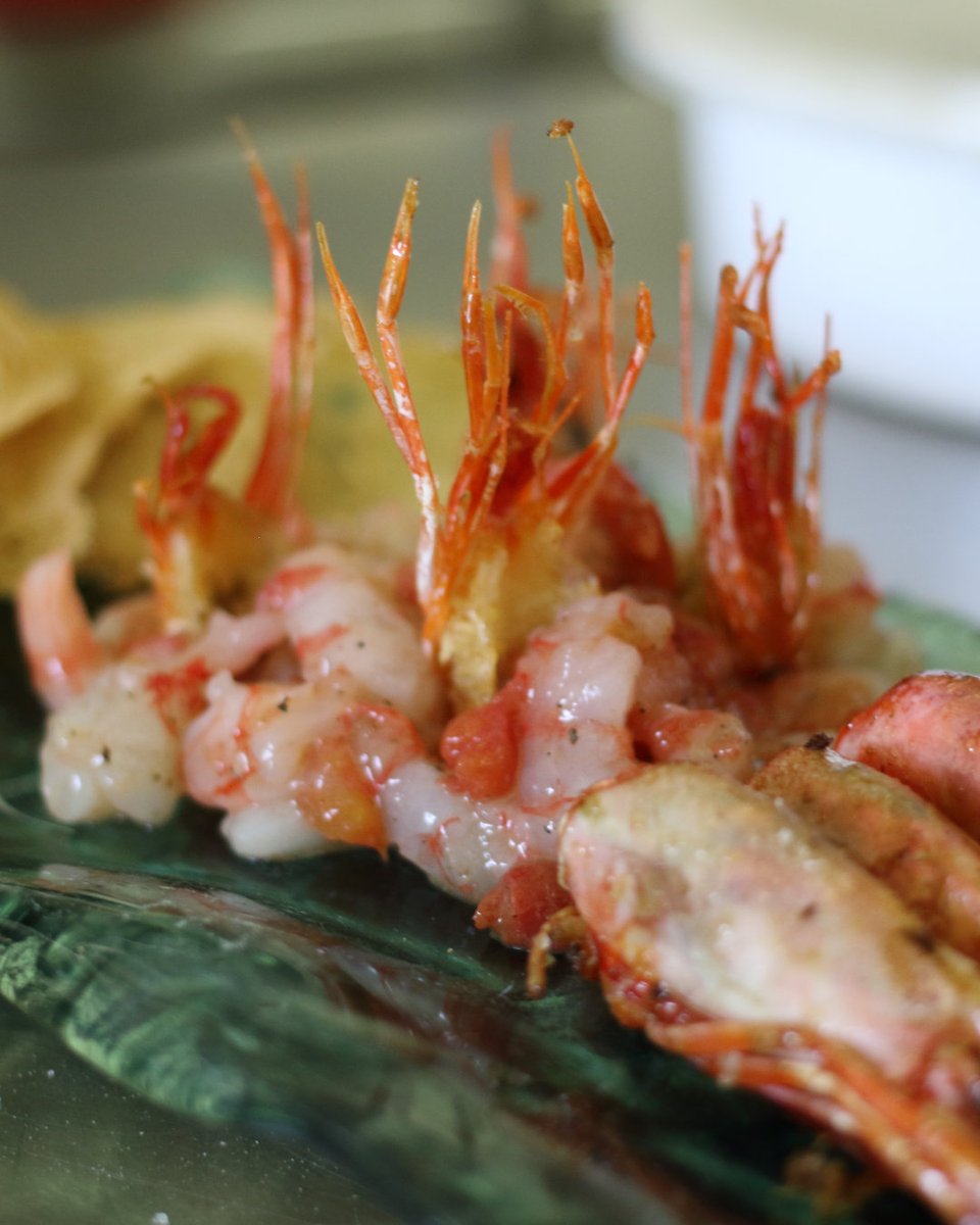 Tàrtar de gambes de Palamós 🦐 #gambadePalamós