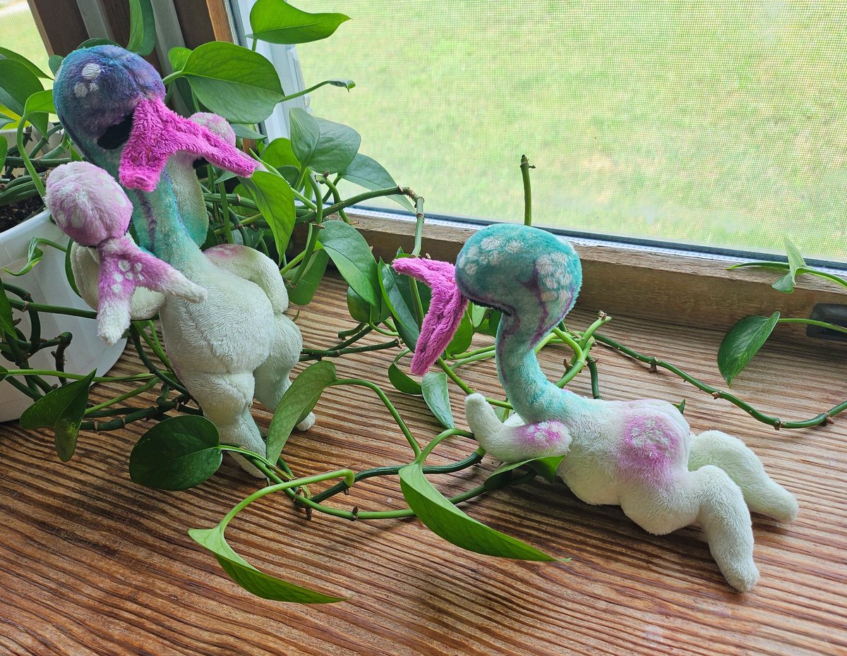 plushypuppy's tweet image. Two one of a kind cobra lillies for sale up in my shop! 
littlesproutlingnursery.com/products/cobra…

Everyone knows the carnivorous plants have the best personalities: cobra lily sproutlings are known for their love of keeping secrets and eating worries.