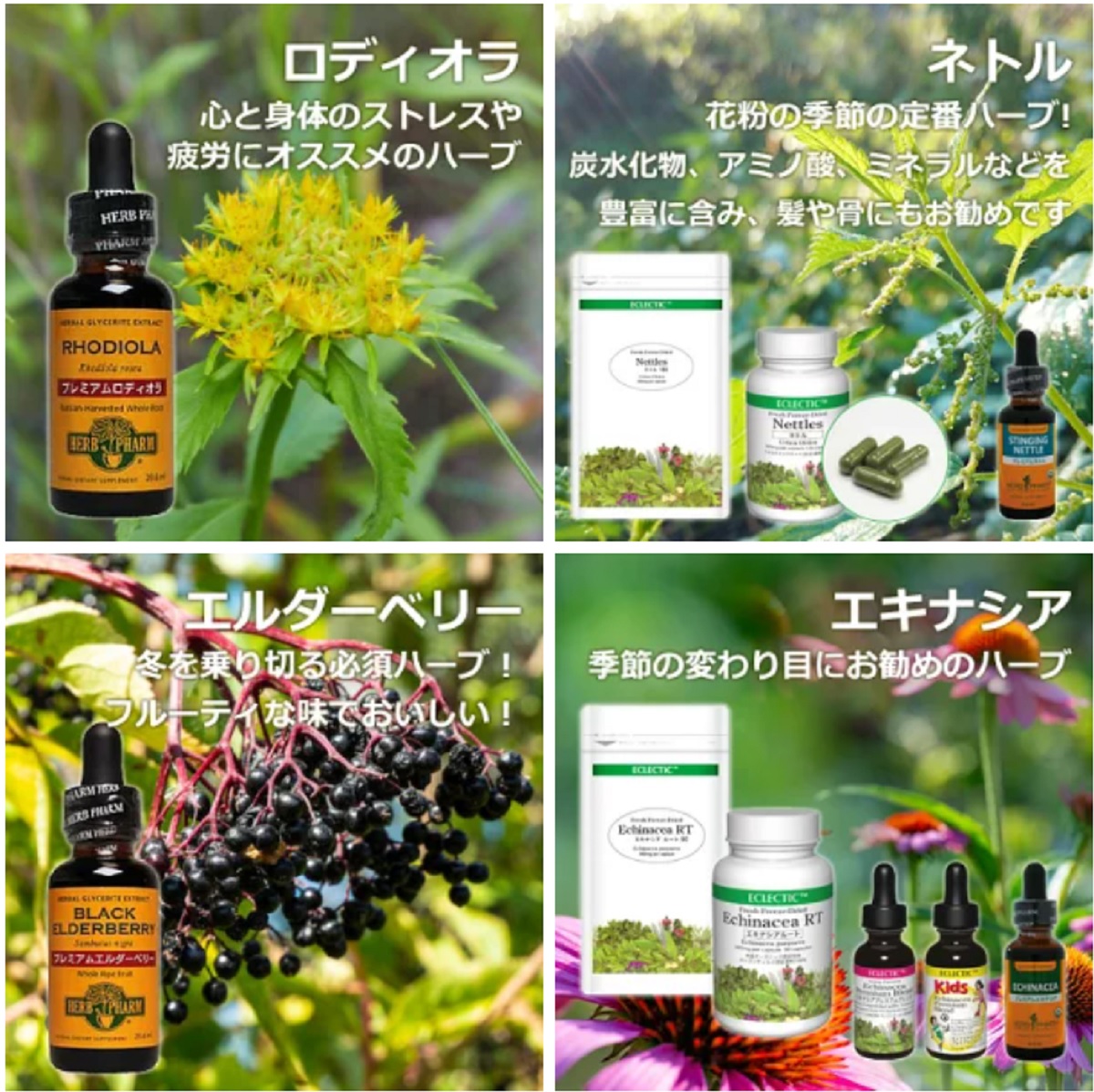 hidechan007's tweet image. #PR #eサプリ東京
eサプリ東京は、ハーブをホールプラント(全草)で使用し、ハーブの持つ自然の力を最大限に活かしているエクレクティック研究所のハーブサプリメントをお届けしています。
【詳しくはこちら】 item.rakuten.co.jp/esapuri-tokyo/…
▼ エクレクティック研究所のハーブサプリメント