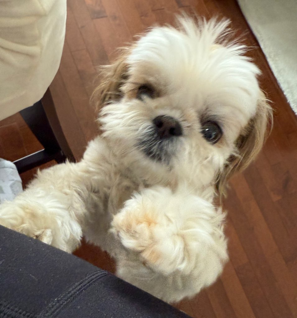 Excuse me….