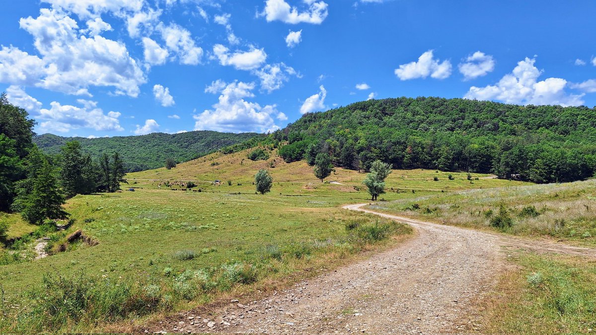 Vedere de la terasă în Măgura (BZ) și dealuri subcarpatice (tot BZ).