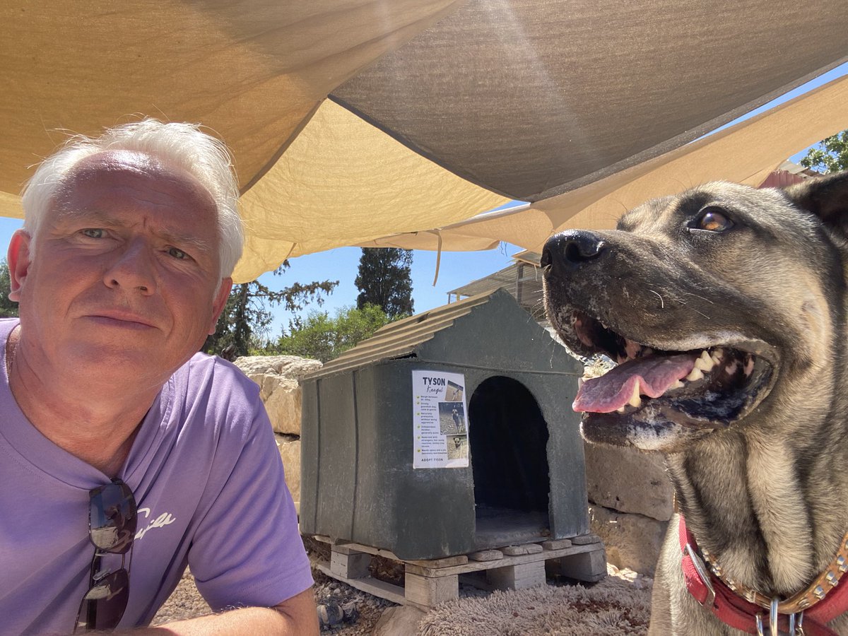NickTaylorLLB's tweet image. My customary trips while in Paphos visiting the rescue dogs & cats at Animal Rescue Cyprus in Paphos. Food drops & spending time today socialising some of their beautiful animals. Please give them a follow and support in anyway you can. If you're considering adopting a dog in…
