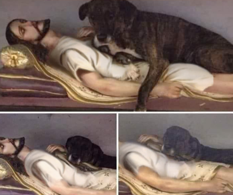 This dog entered a church &amp; slept with the image of Jesus. The parishioners noticed and warned the priest and this was his response:

"Leave him. Don't bother him. He also has the right to take comfort in the Lord our God."