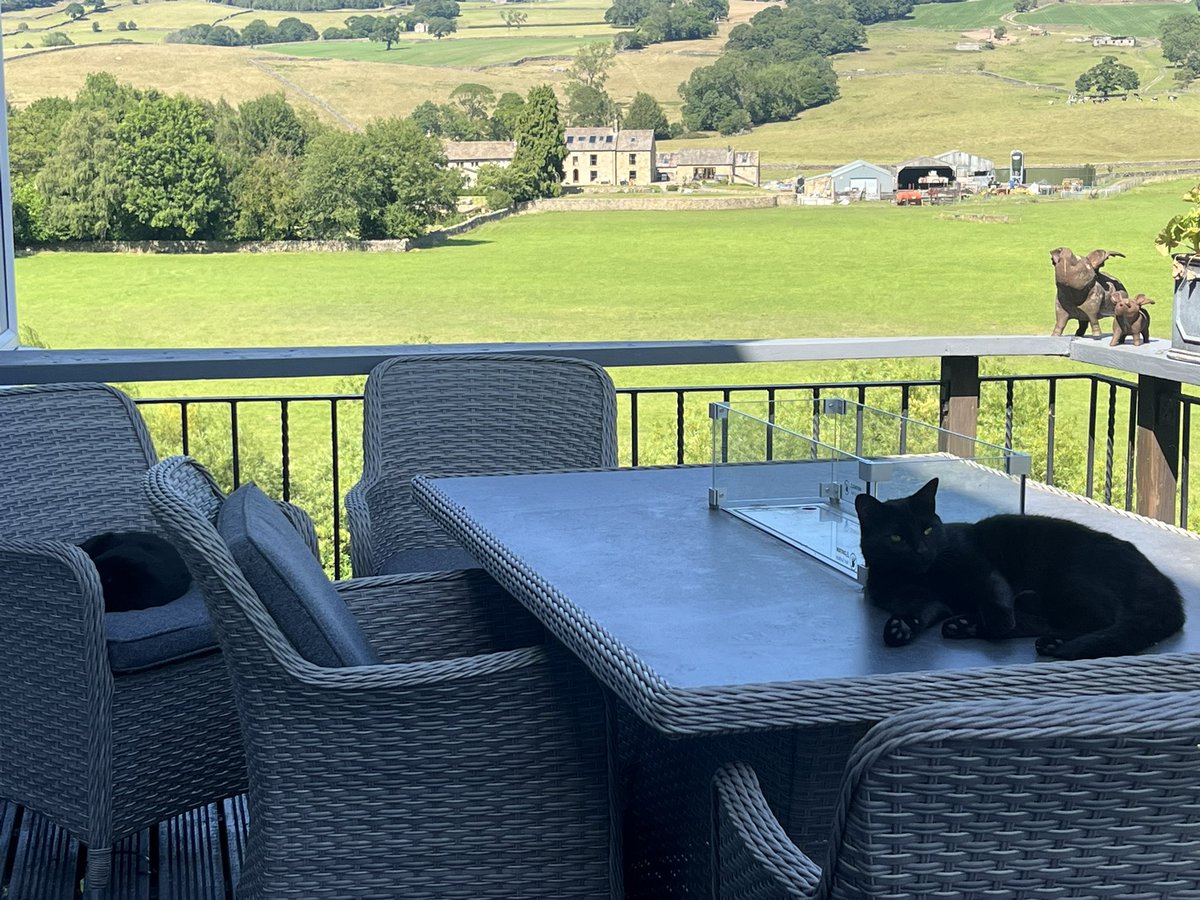 Having a good wash and chilling on next door’s table and chairs …. 🙀😸😹