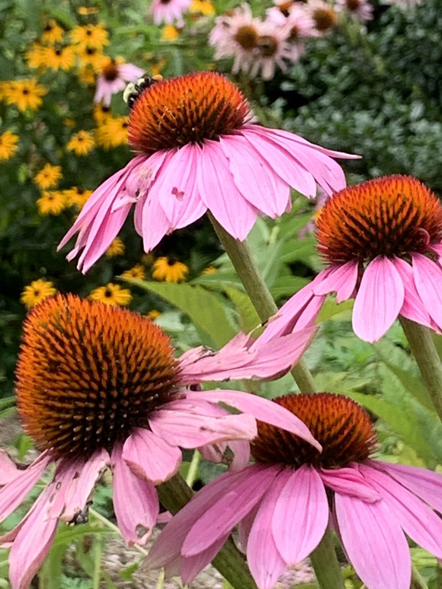 Collabor8tor's tweet image. 