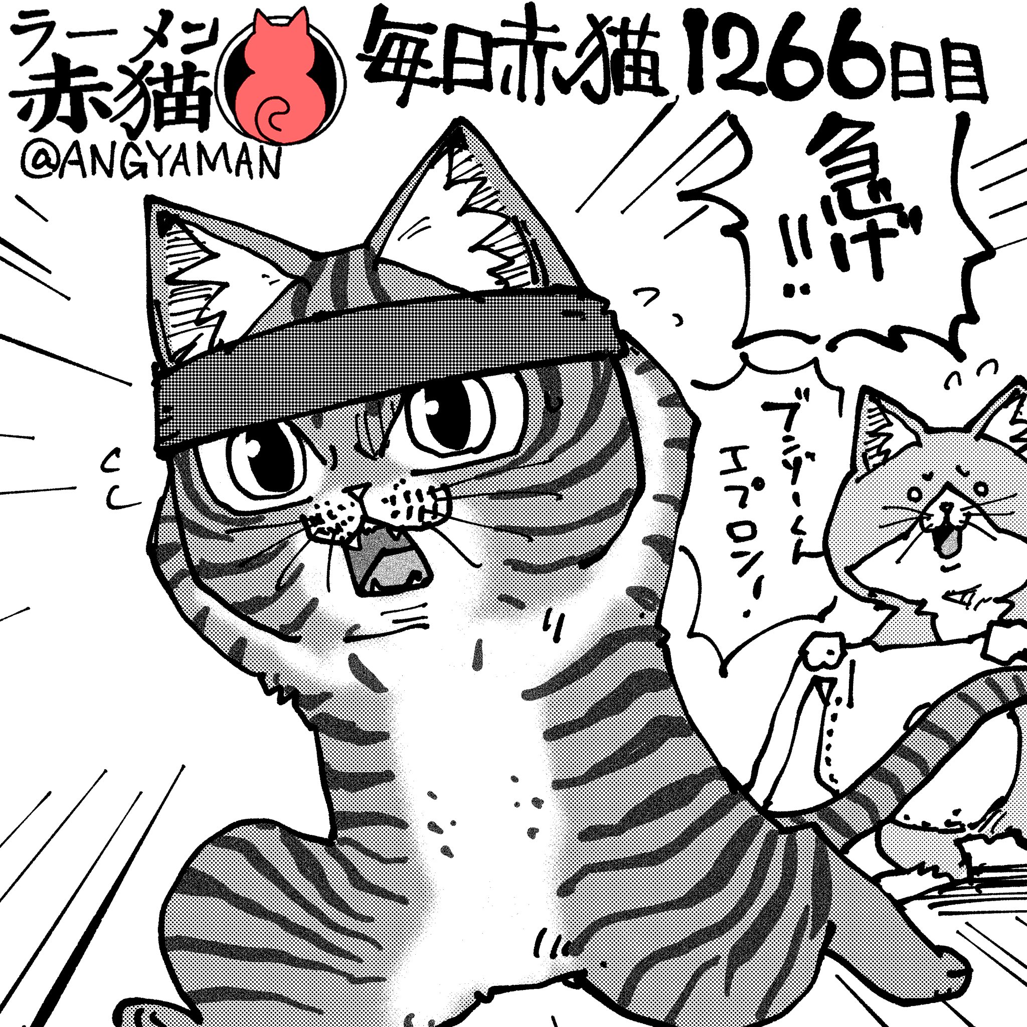 猫まんま e8db4d3b35615926ce445c2340cedd