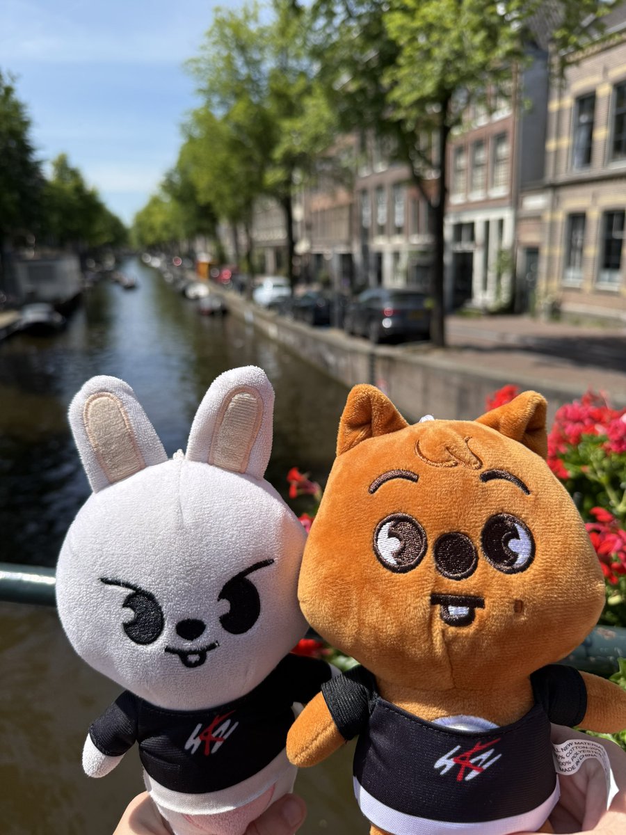 chaseinthedark's tweet photo. Dominate in amsterdam was so amazing 😭🥺 @deuxbyun https://t.co/3aRyxDVNR5
