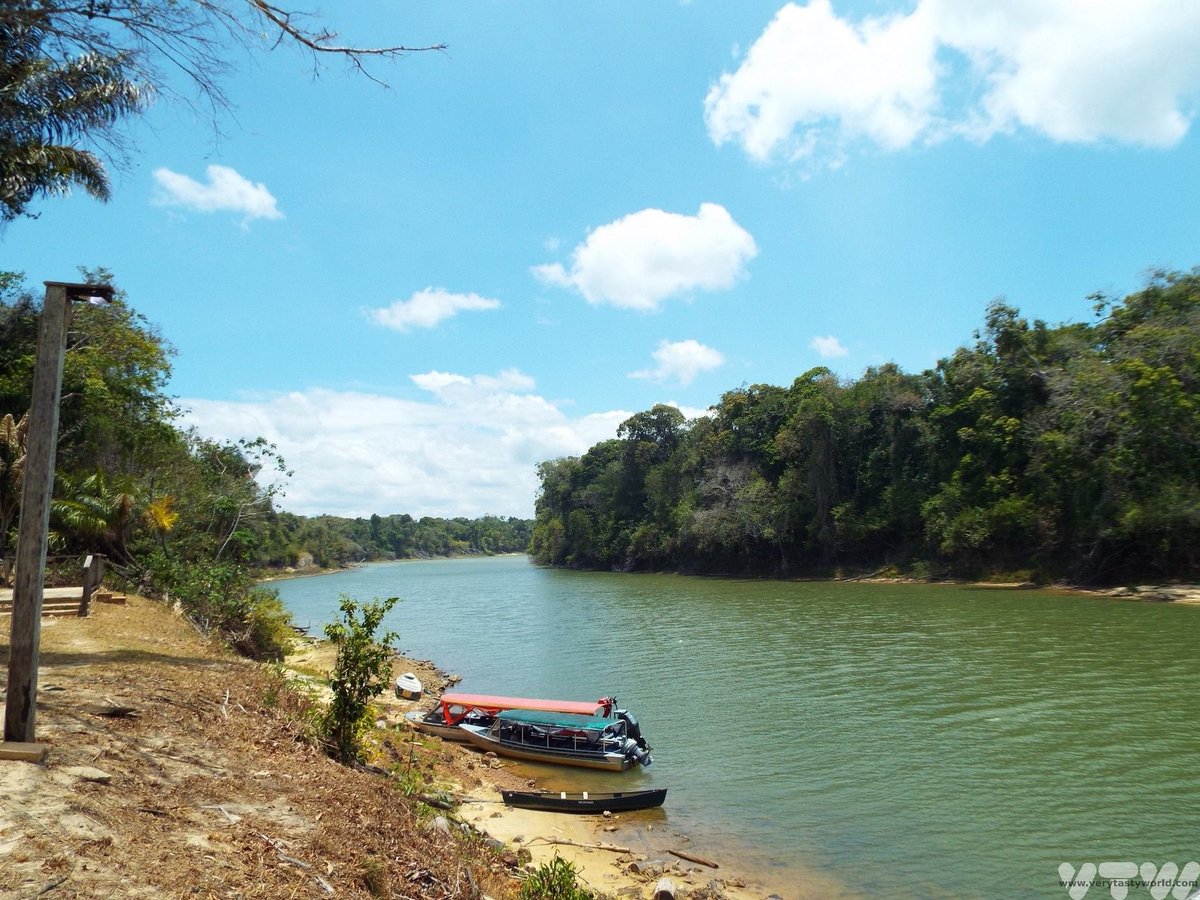 New post! When we visited Guyana we loved learning about the food of the indigenous Amerindians in the rainforest. Here's our guide to these amazing dishes and how they influenced Guyana's national dish, pepperpot. verytastyworld.com/discovering-th…