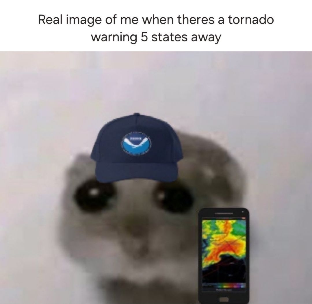 ChaserChat's tweet image. 