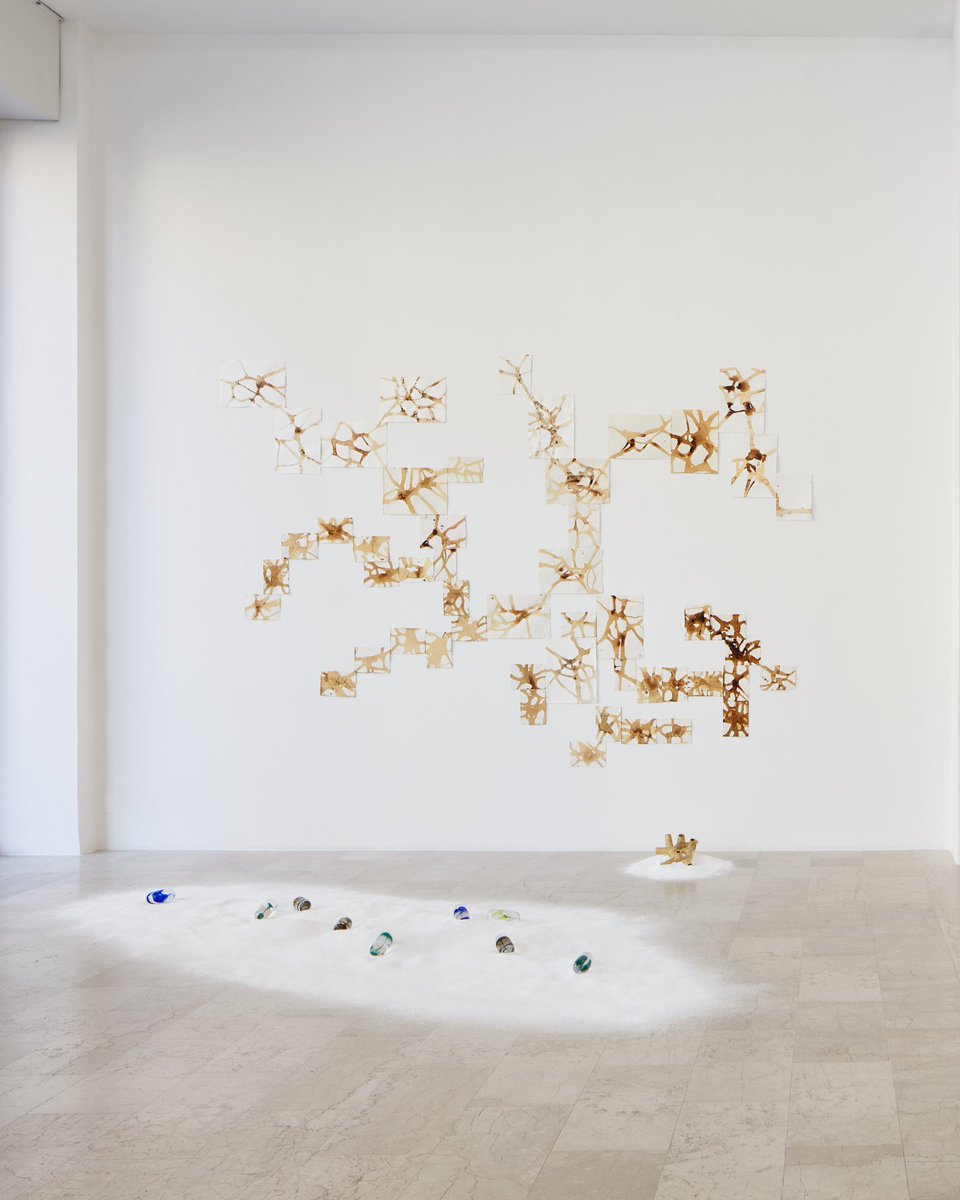 P420gallery's tweet image. #NowOnView: ‘An infrathin sight from East’, a group exhibition at #P420, curated by Marinella Paderni and Ewa-Maria Šmigielska.

Exhibited Artists: Li Feian, Karolina Sadłoń, Ana Vostruchovaite, Xiang Xyini, Shen Ziye

📍 P420, Bologna

📆 26 June – 24 July 2025

#P420Gallery