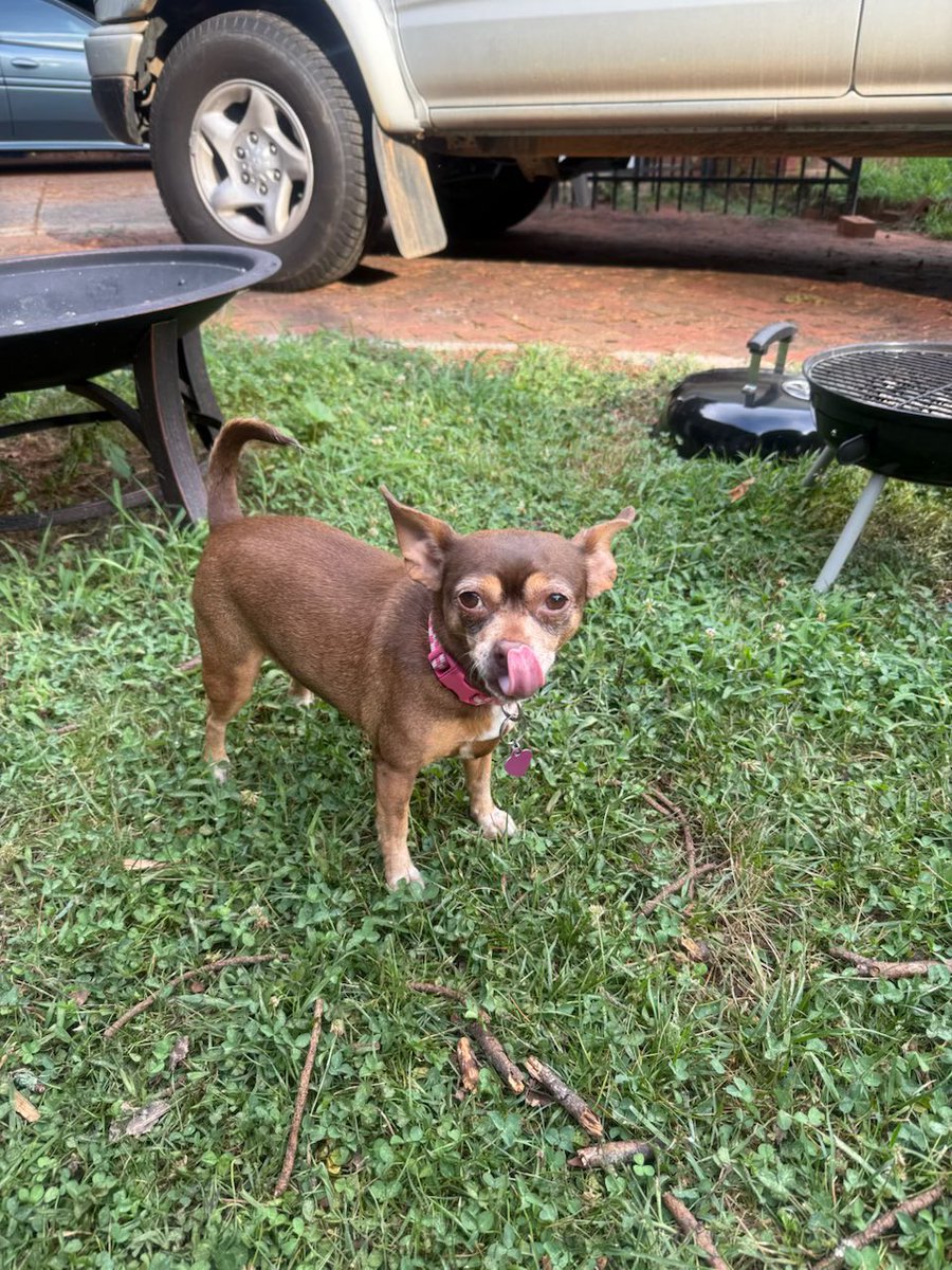bean wants you guys to know she’s excited that it’s <a href="/NASCARCanada_/">NASCAR Canada</a> raceday.
