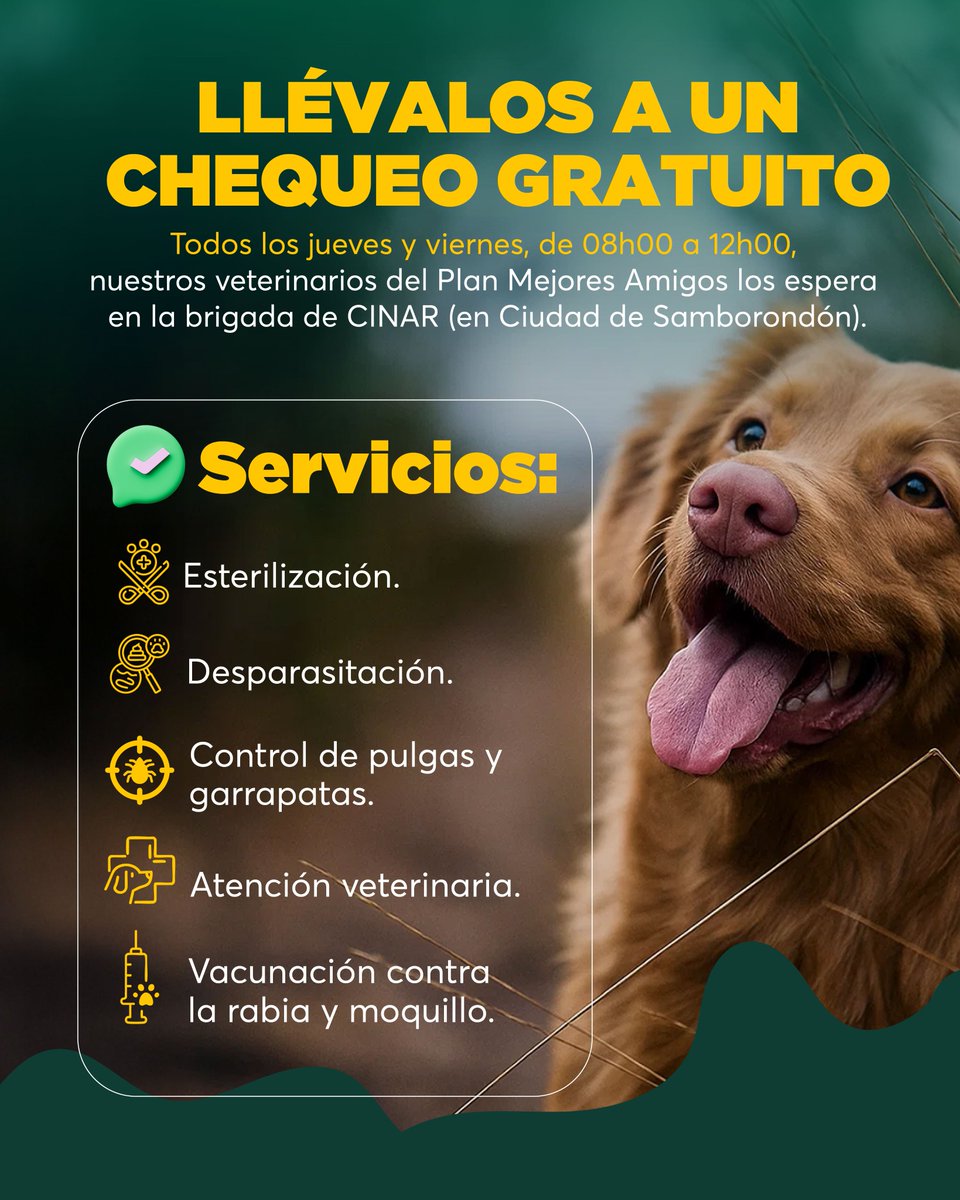 MuniSamborondon's tweet photo. 🐾 En #LaCiudadDelFuturo, ellos también son prioridad. Con el #PlanMejoresAmigos, cuidamos el bienestar de perros y gatos con acciones concretas y gratuitas para protegerlos, atenderlos y construir una mejor ciudad para todos 🦮.

#SomosSamborondón #BienestarAnimal https://t.co/YfEZS0u9Aq