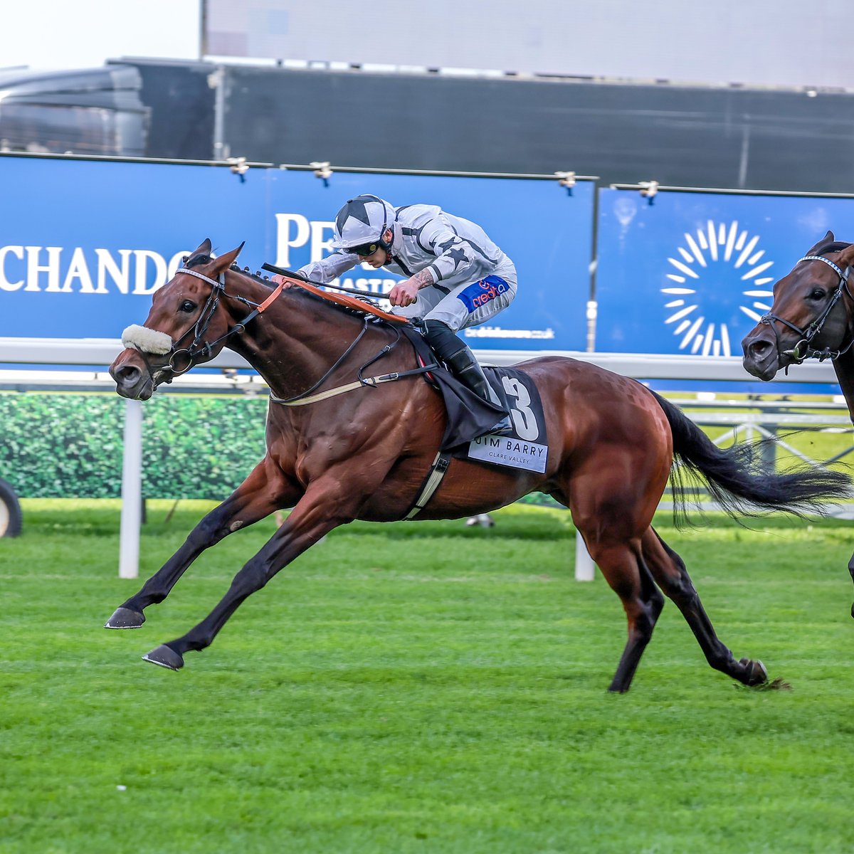AL QAREEM wins the Group 3 John Smith's Silver Cup Stakes at York 🎉