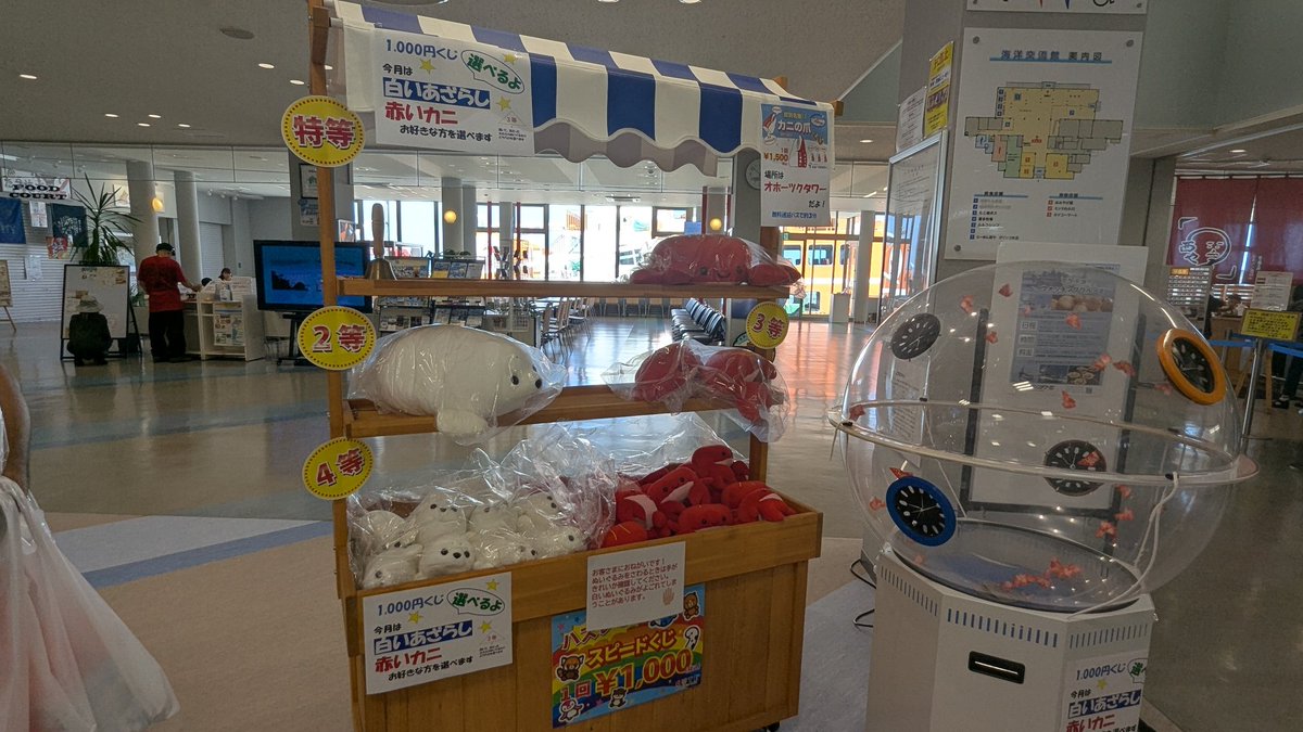 cositaMonbetsu's tweet image. 紋別に来たらコレ!
海洋交流館
アザラシ、カニのぬいぐるみくじ
→¥1000
オホーツクタワー
カニの爪ぬいぐるみくじ
→¥1500
アザラシが4等、カニが3等と4等、カニの爪が4等
#コス痛紋別2025
#コス痛紋別2025であいましょう