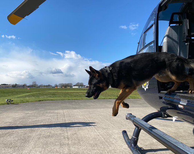 Later, we were tasked to #Tredegar to assist with a high-risk missing person. We located in woodland and now safe and well with officers. Excellent teamwork all round. 🌲🚁💪

^JS