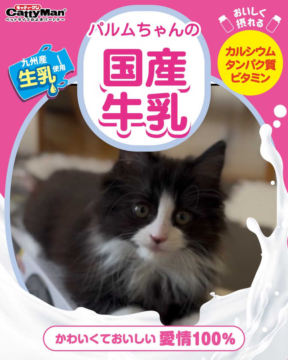 kochan2uk's tweet photo. #ペットの牛乳フォトグランプリ https://t.co/YNl0A34D0n