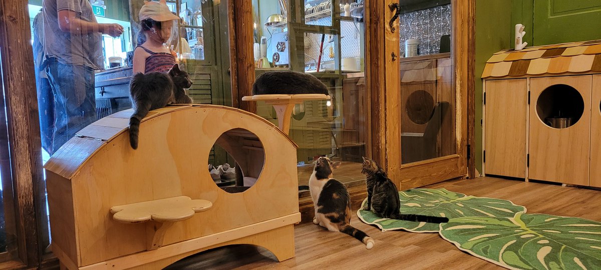 ippus's tweet image. Cleopatra Cafe