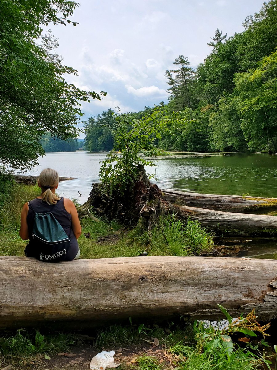 Hiking is not escaping life, but discovering it.
Camping, hiking, &amp; Books: youtube.com/@JohnTuriano 

#ilovecamping #hikingadventures #outdoorliving #outdoors #NaturePhotography