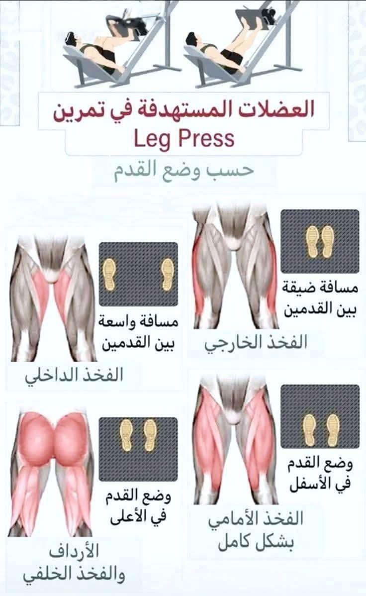 تمرين (Leg Press) ضغط الساقين‼️
من أقوى التمارين لتقوية الجزء السفلي من الجسم💥🏋🏻‍♀️
النزول حتى زاوية 90° في الركبتين..
تجنّب قفل الركبتين عند الصعود للحفاظ على سلامتهما..
تغيير وضع القدم يحدد العضلات المستهدفة (أمامية، خلفية، داخلية)💪