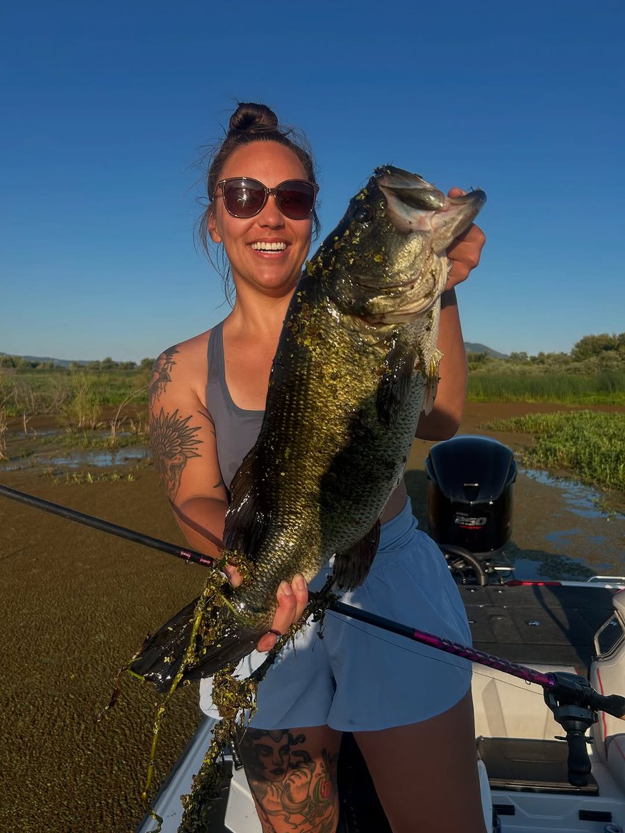 BassProShops's tweet image. Who's trying to put together a bag like this today?! 🤯
📸: @isabellejang