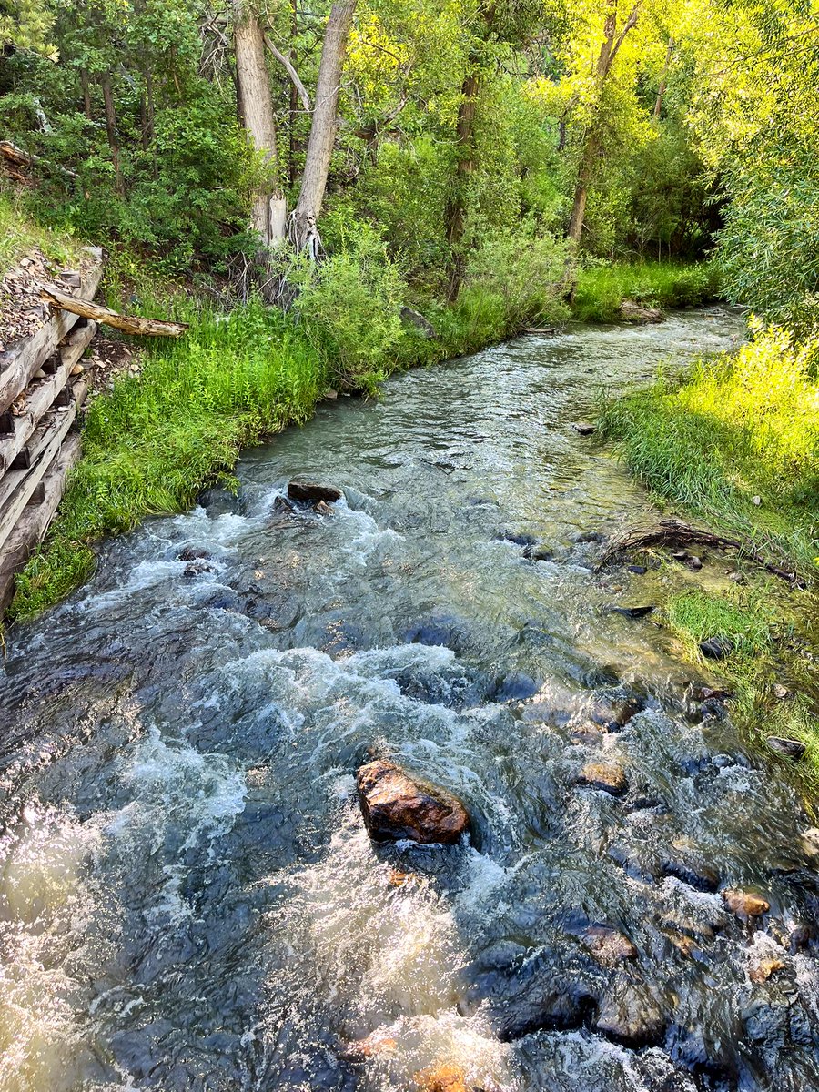 CoachK_NSU's tweet image. Beautiful gratitude walk!