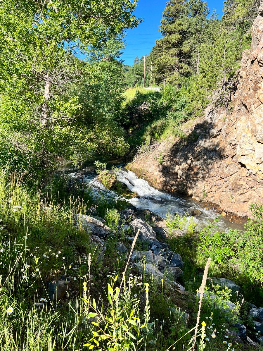 CoachK_NSU's tweet image. Beautiful gratitude walk!