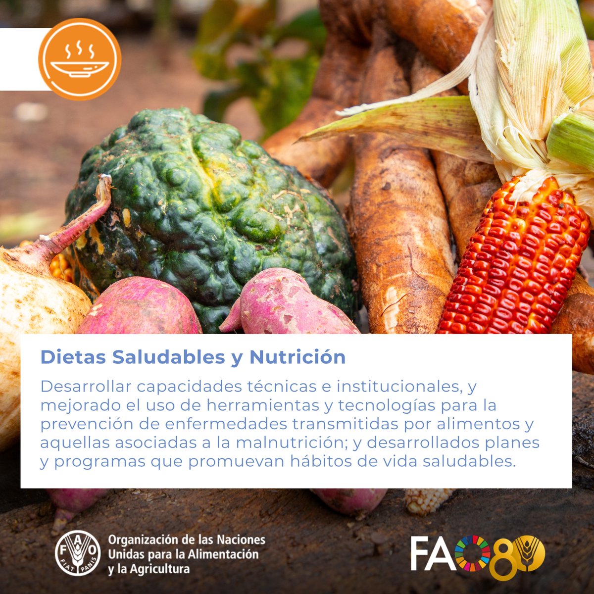 FAO Paraguay (@faoparaguay) on Twitter photo 🔶Una buena nutrición es la primera defensa contra las enfermedades y nuestra fuente de energía para vivir y estar activo.
🔶Uno de los pilares del Programa #Paraguay - <a href="/FAO/">Food and Agriculture Organization</a> 2025-2029 enfoca de una manera integral este importante tema.
📘 Conocé más
➡️fao.org/paraguay/areas… 🔶Una buena nutrición es la primera defensa contra las enfermedades y nuestra fuente de energía para vivir y estar activo.
🔶Uno de los pilares del Programa #Paraguay - <a href="/FAO/">Food and Agriculture Organization</a> 2025-2029 enfoca de una manera integral este importante tema.
📘 Conocé más
➡️fao.org/paraguay/areas…