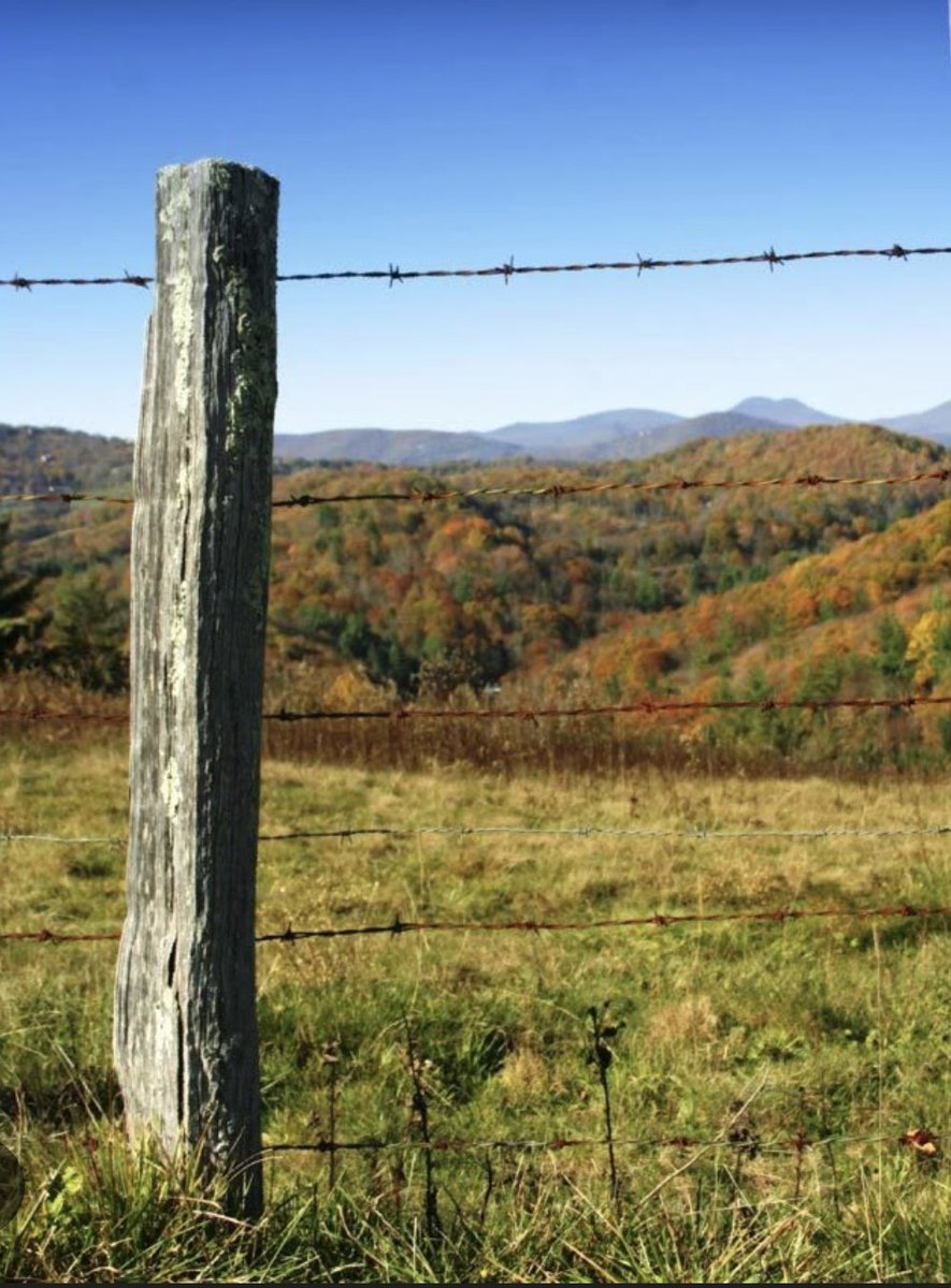 Just checking, can y’all see this post?