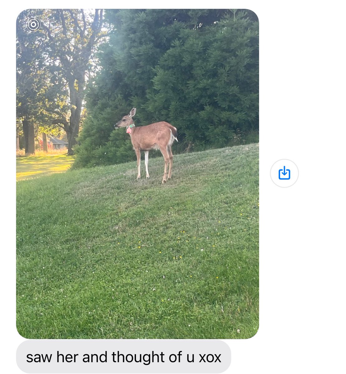 this means so much to me…